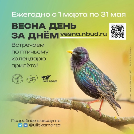 Всероссийская экологическая акция:"Весна день за днём".